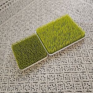 Boon Green Bottle Drying Grass Bundle